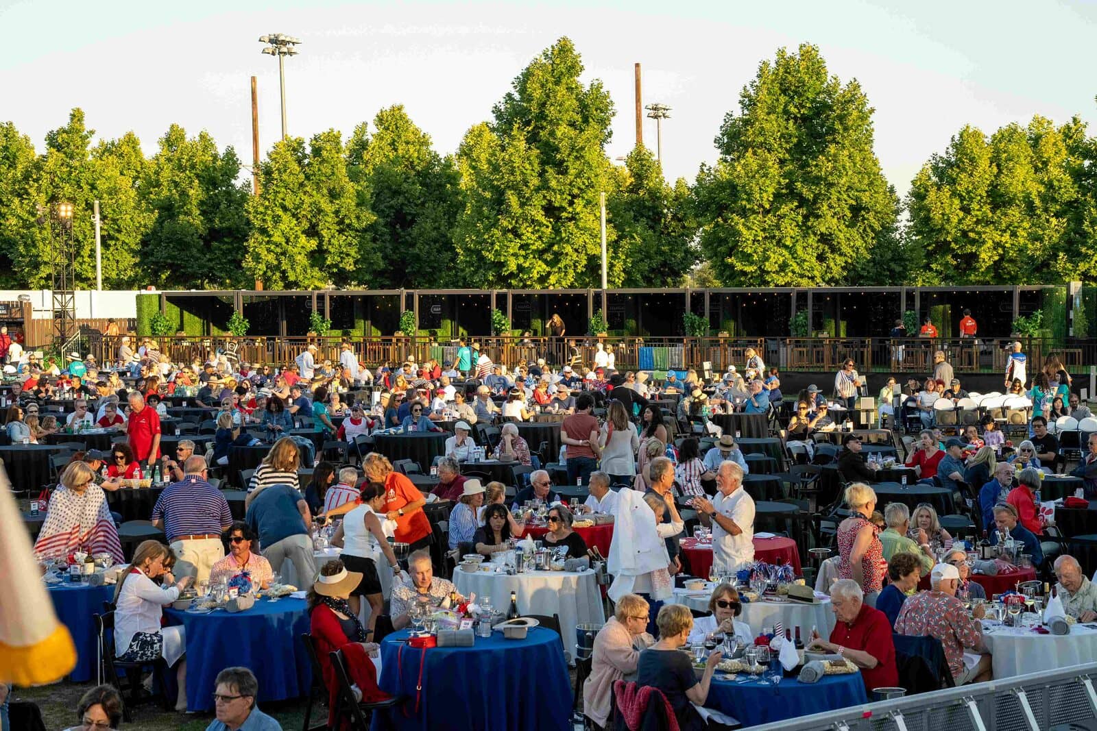 Festivalgoers at outdoor booths and tables during the day